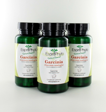 EspritPhyto - Garcinia Cambogia - Cura di tre mesi (3 flacconi da 90 Capsule)
