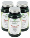 EspritPhyto - Bardane - Cura per 2 mesi (3 flacconi da 90 capsule)